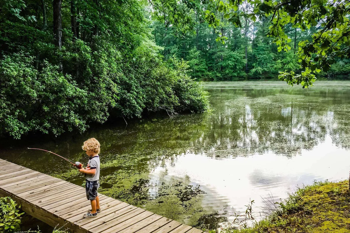 A playful young child fishes off a wooden dock, surrounded by lush greenery and calm water that mirrors the sky. The mood is one of relaxation and gentle adventure, hinting at the kind of outdoor activities families can share in and near Chattanooga.